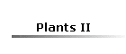 Plants II
