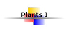 Plants I